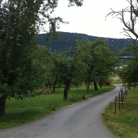 Ferienwohnung Heike Dettingen an der Erms Eksteriør billede